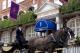 horses and carriage goring